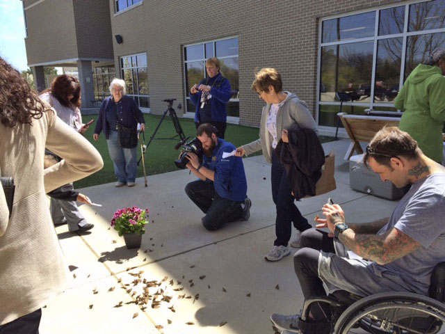 Image of Veterans and Butterflies in the sun during a special ceremony
